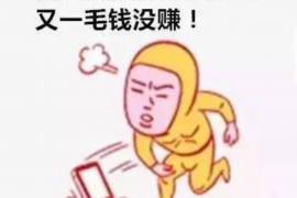 城西融资清欠服务